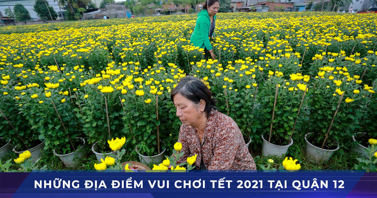 Dịp Tết 2021 Tân Sửu đi đâu chơi ở Quận 12 TPHCM?