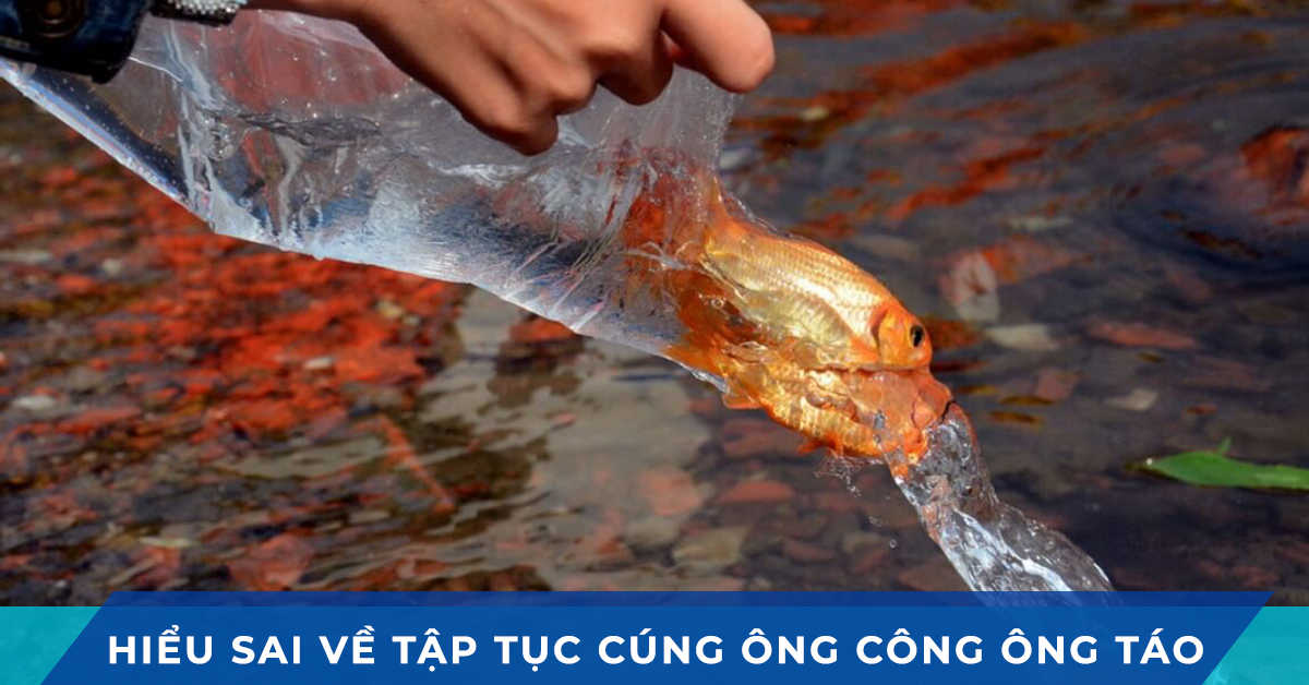 hieu sai tap tuc cung ong cong ong tao