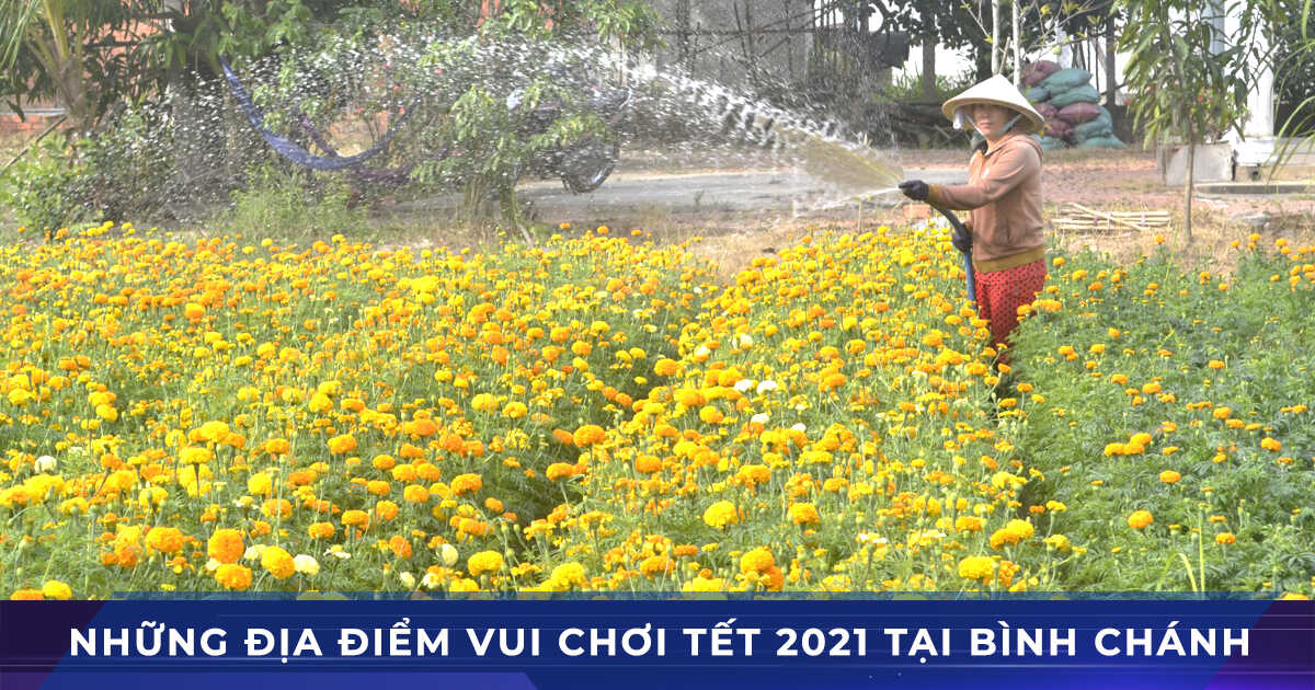 Huyện Bình Chánh có gì vui chơi vào dịp Tết Tân Sửu 2021 này?