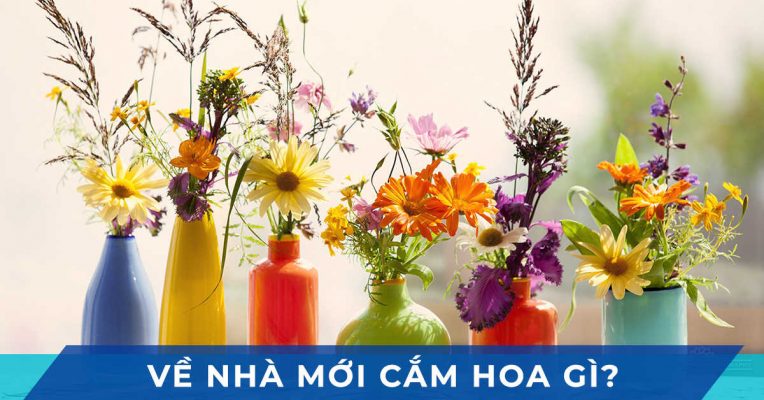 ve nha moi cam hoa gi