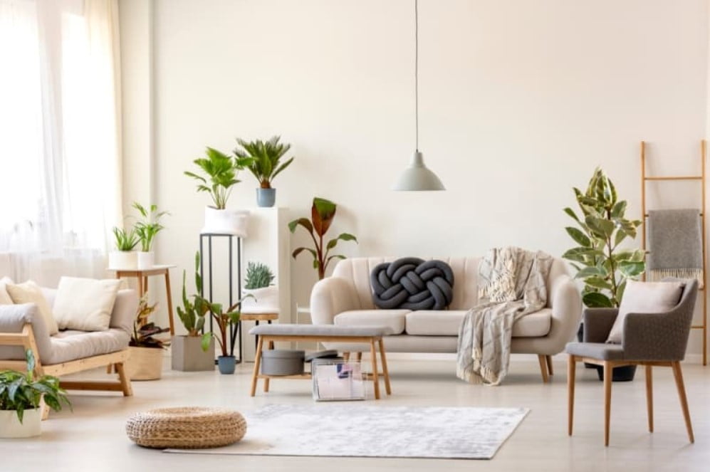 Làm sạch không khí trong nhà