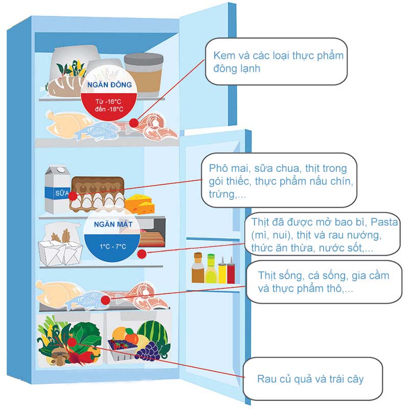 Cách sắp xếp thực phẩm trong tủ lạnh