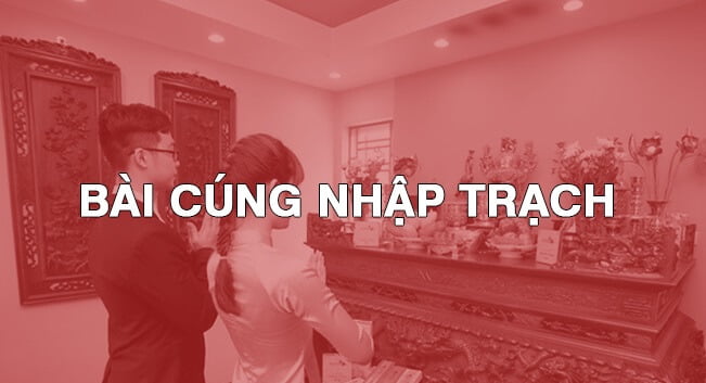 https://thanhhunggroup.com/mam-cung-chay-ve-nha-moi-bao-gom-nhung-gi/