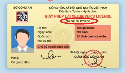 Mẫu số giấy phép lái xe
